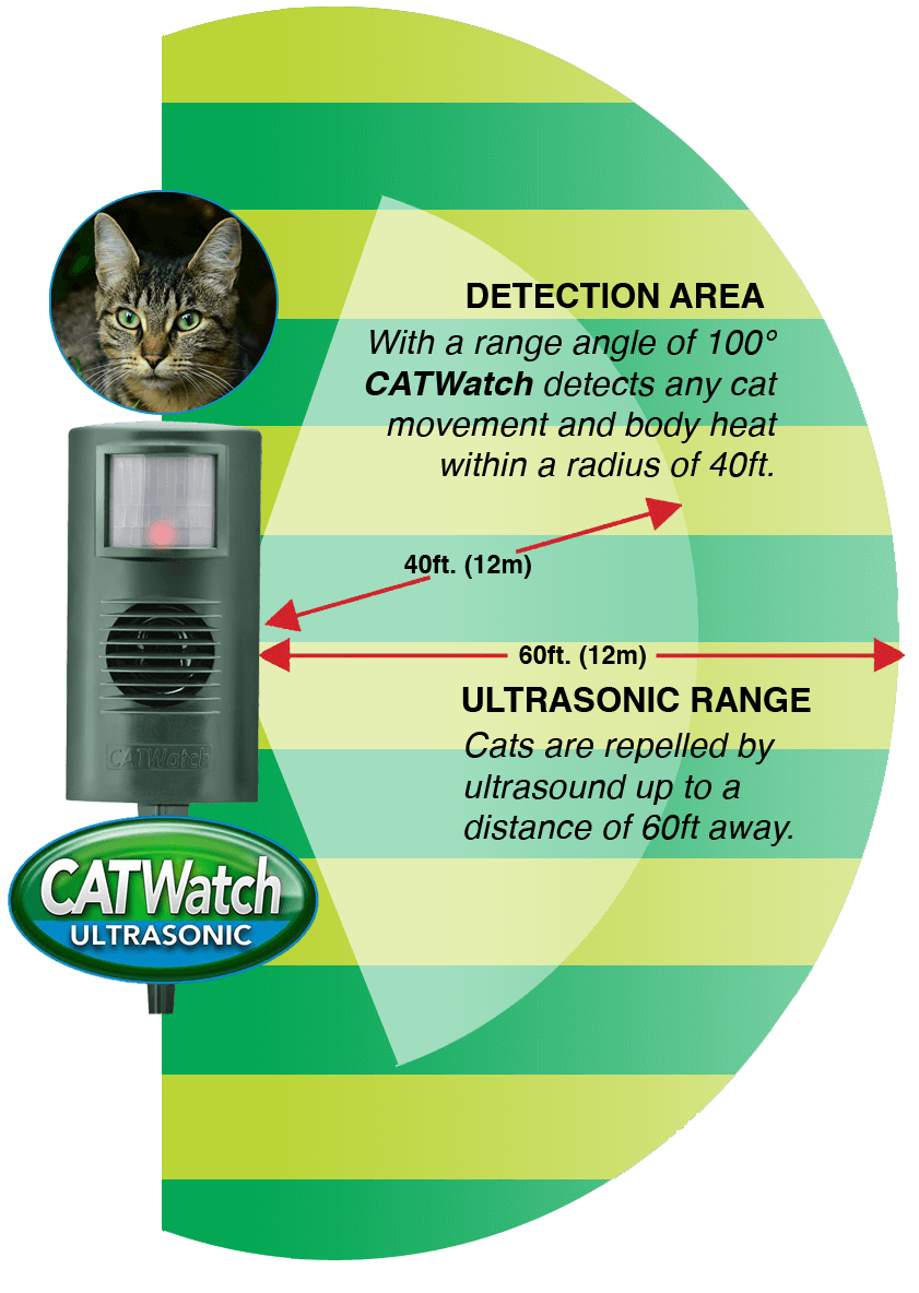 The CATWatch detection range