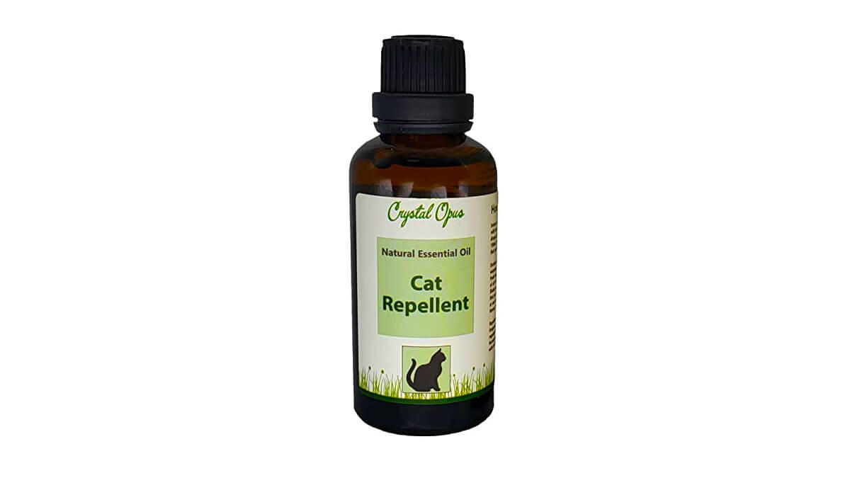 Natural essential oil cat repellent