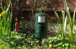 Do ultrasonic cat deterrents work? - Cat Repellent Expert