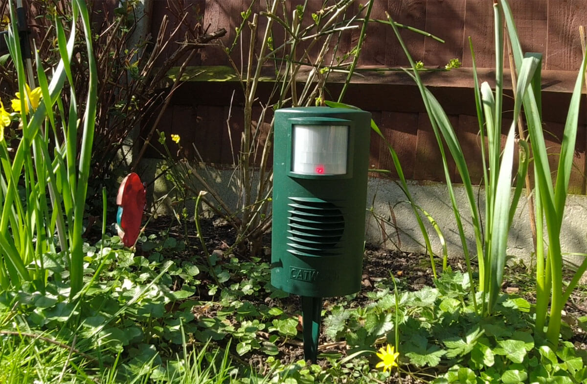 The CatWatch Ultrasonic Cat Deterrent in a flowerbed