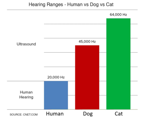A bar chart showing the differences in hearing ranges between a human, cat and dog.